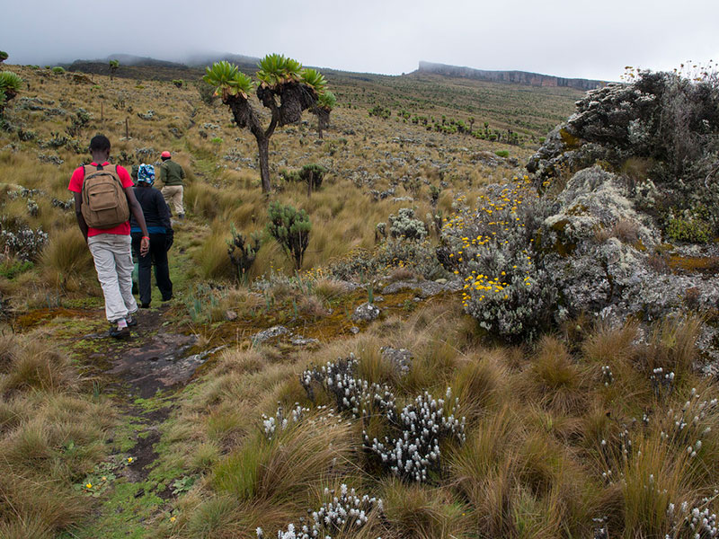 Mt.Elgon1