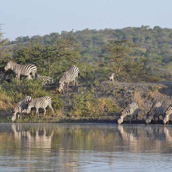 Lake Mburo National Park